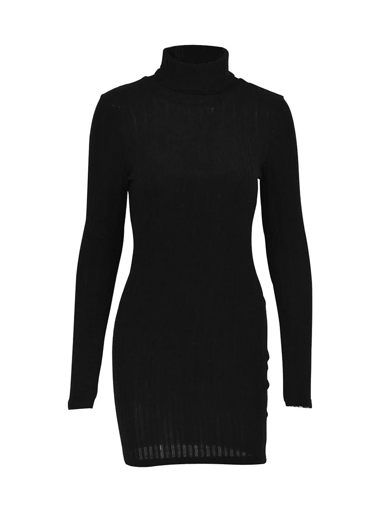 New Sexy Mini Dress For Women Autumn Black Solid Turtleneck Long Sleeves Sheath Dress Club Elegant Bodycon Party Dresses Female - NJN NATURES