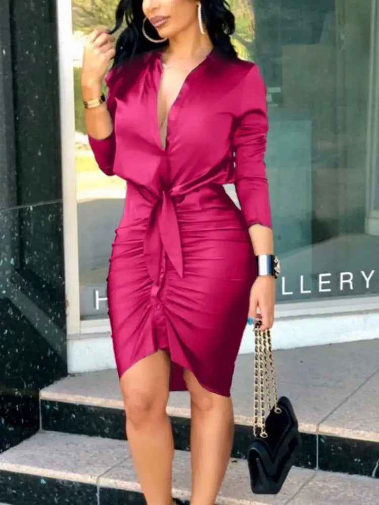 Women Sexy Deep V Neck Mini Dresses Ladies Long Sleeve Party Club Bodycon Dress - NJN NATURES