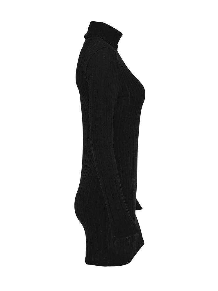 New Sexy Mini Dress For Women Autumn Black Solid Turtleneck Long Sleeves Sheath Dress Club Elegant Bodycon Party Dresses Female - NJN NATURES