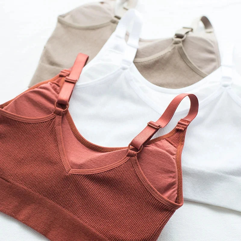 Sexy Underwear Women Gather No Steel Ring Lingerie Bra Tube Top Wrapped Chest Beauty Back Actival Cotton Thin Section Tube Top - NJN NATURES