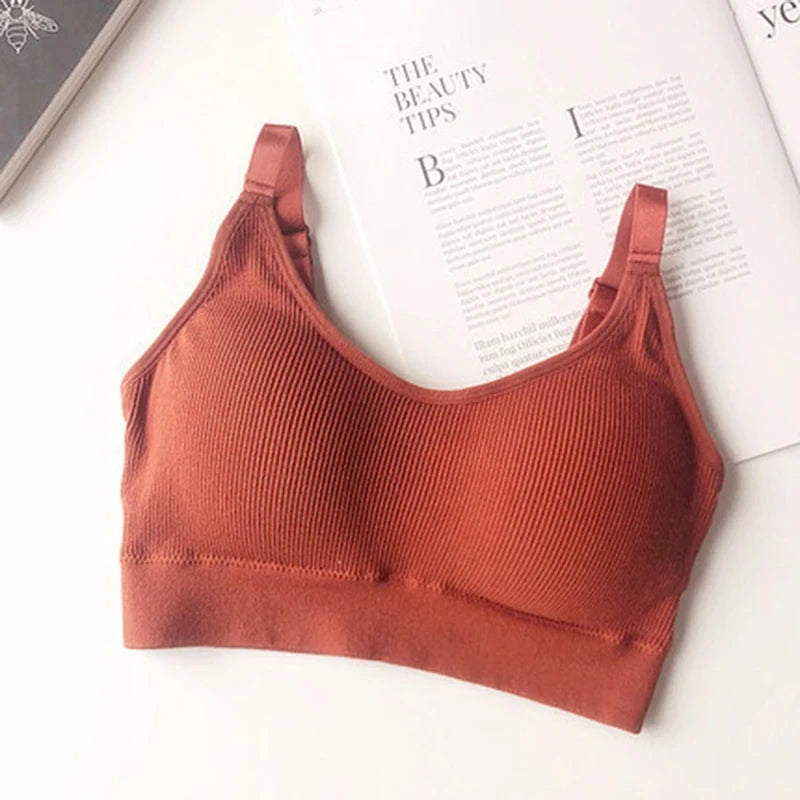 Sexy Underwear Women Gather No Steel Ring Lingerie Bra Tube Top Wrapped Chest Beauty Back Actival Cotton Thin Section Tube Top - NJN NATURES