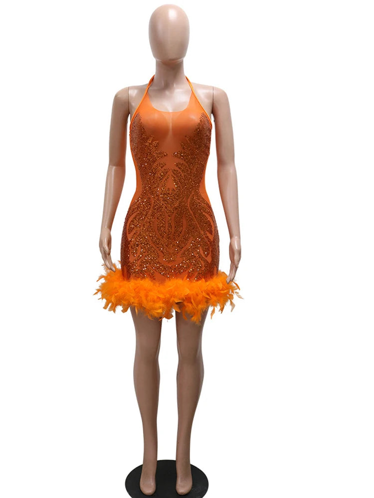 Beyprern Beautiful Mesh Sequin Feather Glam Dress Luxury Woman Party Dress Glitter Sleeveless Night Out Dresses Birthday Outfits - NJN NATURES