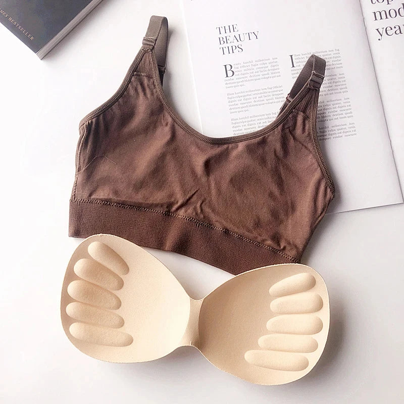 Sexy Underwear Women Gather No Steel Ring Lingerie Bra Tube Top Wrapped Chest Beauty Back Actival Cotton Thin Section Tube Top - NJN NATURES